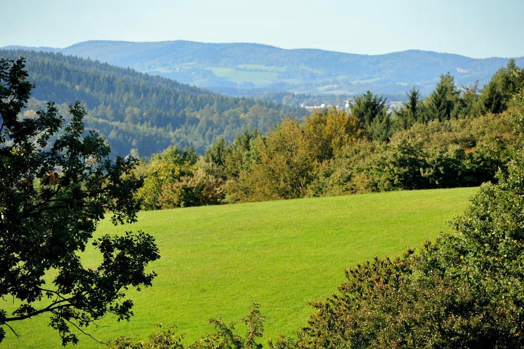 Apartman Na Bubnu Lägenhet Náchod Rum bild